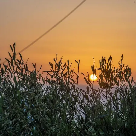 Stylish House Panoramic Sea And Sunset View * Chora